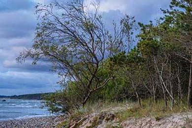 全国武术比赛吸引数千选手同台竞技，2021年全国武术比赛有哪些