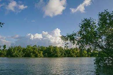 南特中场核心发挥稳定引领攻守平衡，南特足球俱乐部