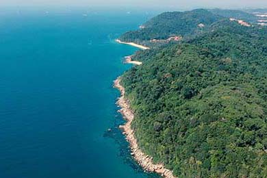 南特中场核心发挥稳定引领攻守平衡，南特足球俱乐部