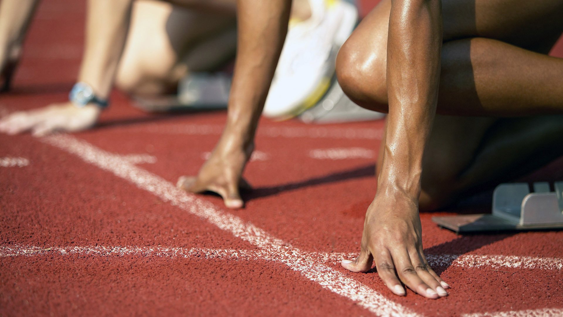 奥地利男队自由泳强势起步，奥地利游泳名将